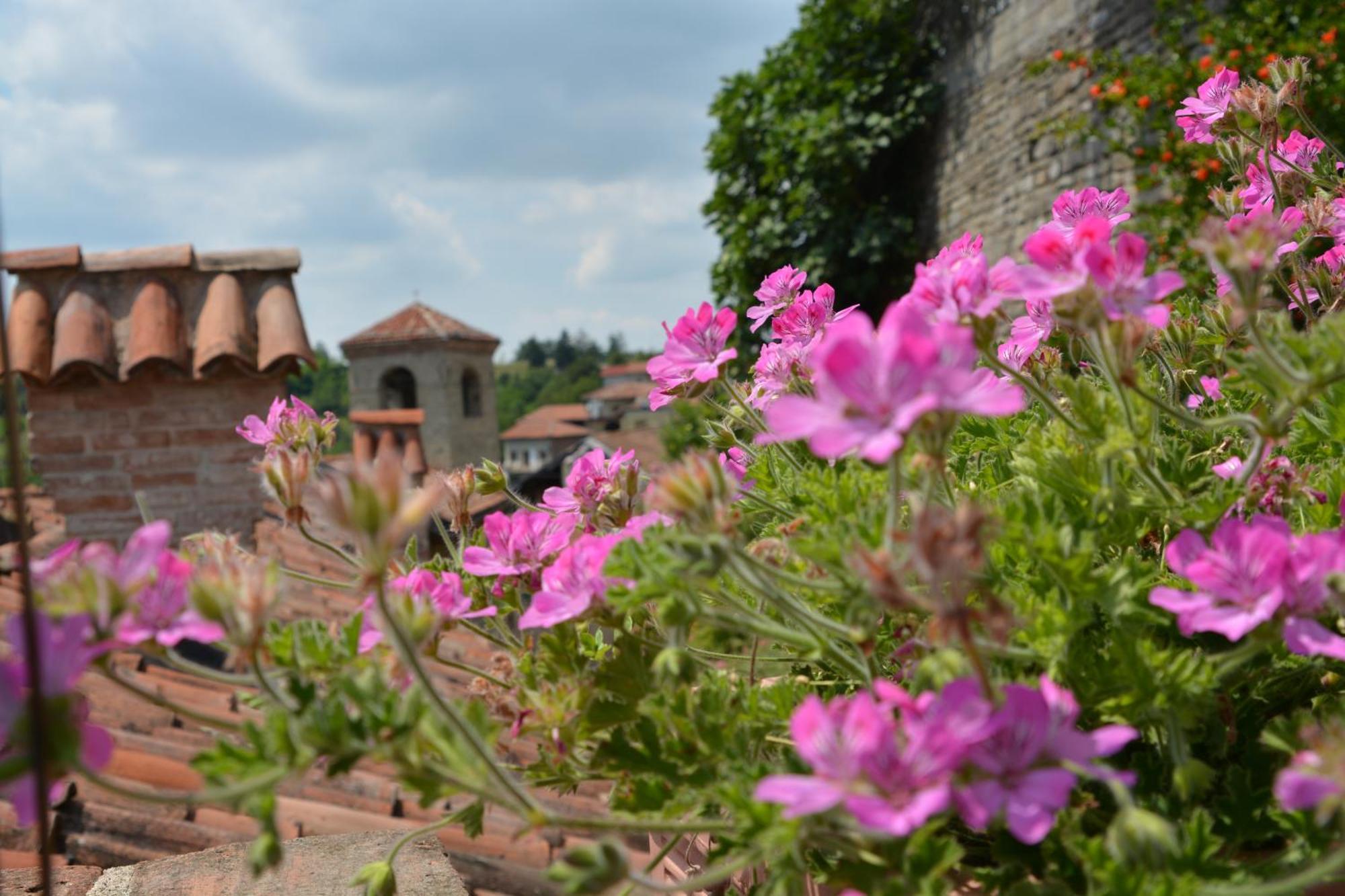 Dimora Storico Romantica Il Sole E La Luna Cerretto Langhe エクステリア 写真